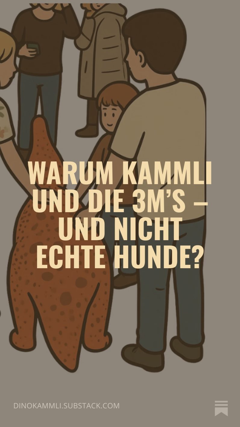 Blog uber warum Kammli Blog uber warum Kammli