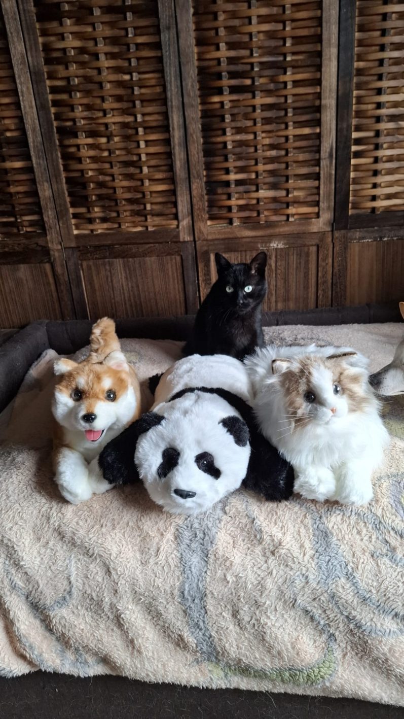 Mika, Mimi, Milo Mika, Mimi, Milo