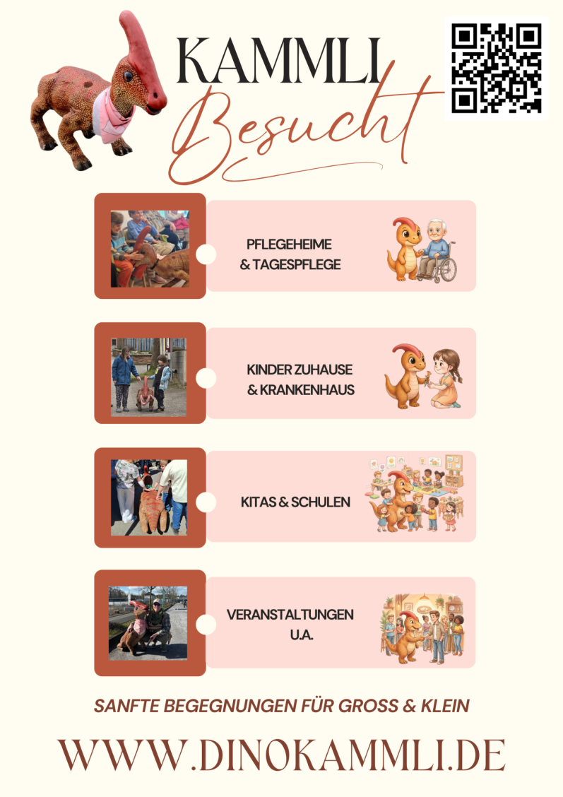 Neue flyer Kammli Neue flyer Kammli